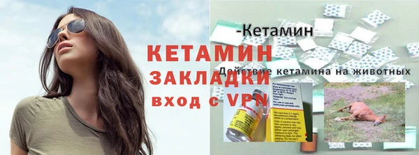 сатива Абаза