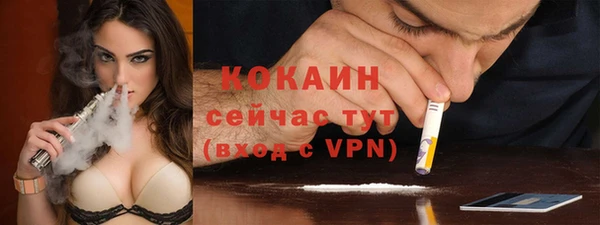 сатива Абаза