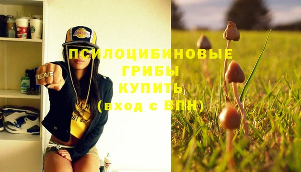 стафф Абинск