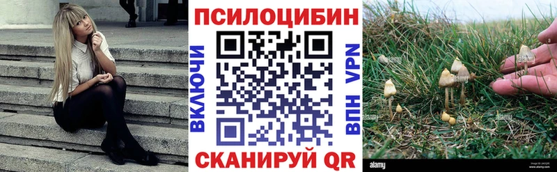 kraken как войти  Талдом  Галлюциногенные грибы ЛСД  продажа наркотиков 